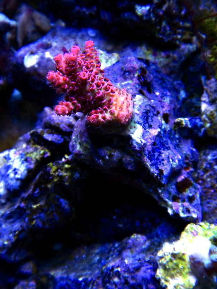 DSC09592edited.jpg