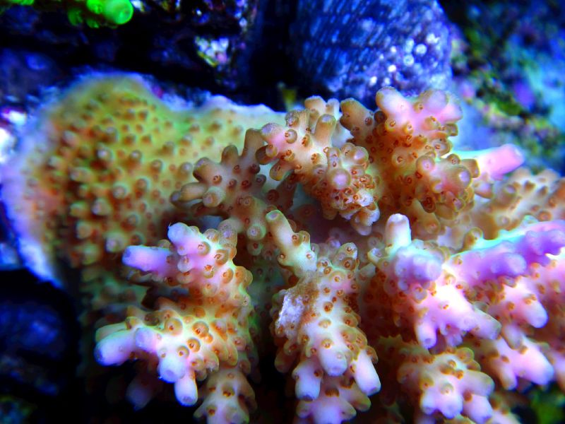 DSC09639edited.jpg