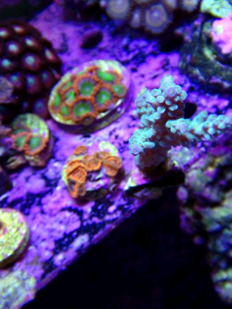DSC09770edited.jpg