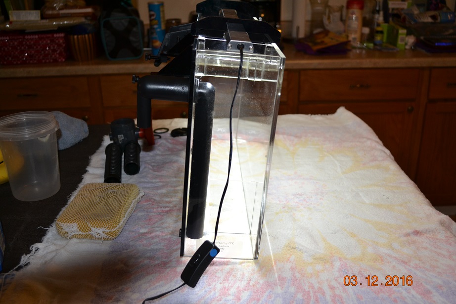 DSC_0002.JPG