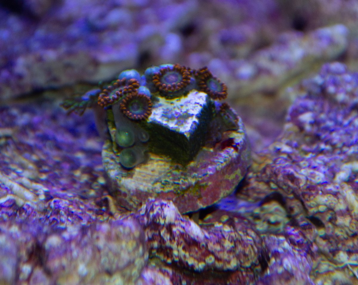 DSC_0007.jpg