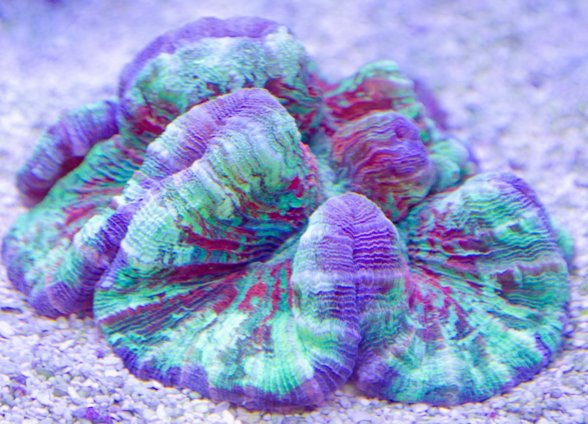 DSC_0007.jpg