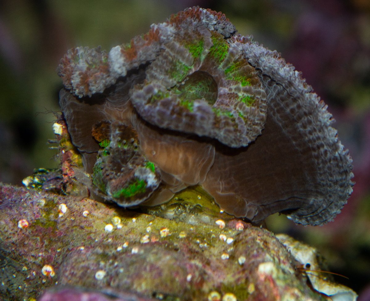 DSC_0013.jpg