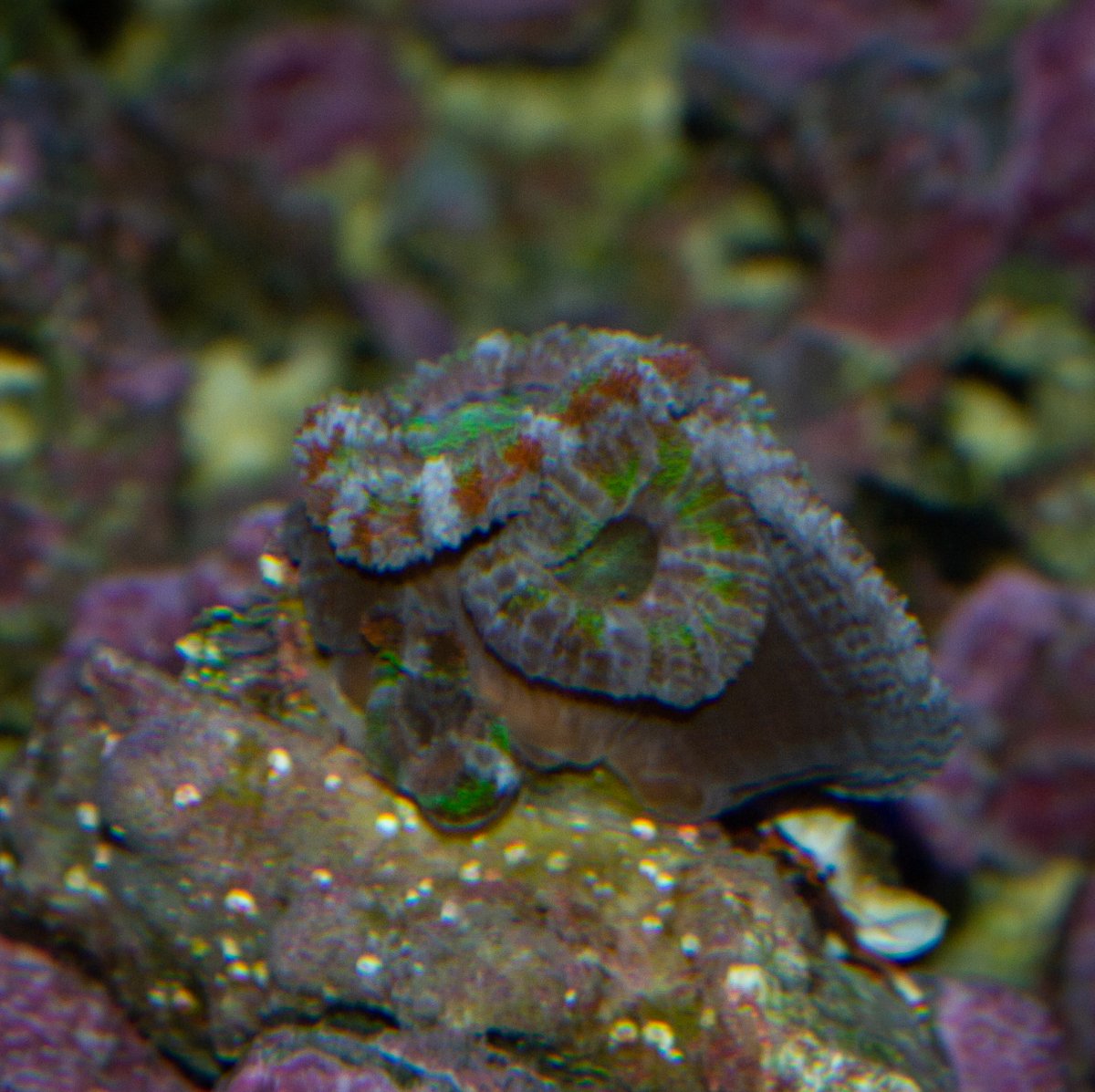 DSC_0014.jpg