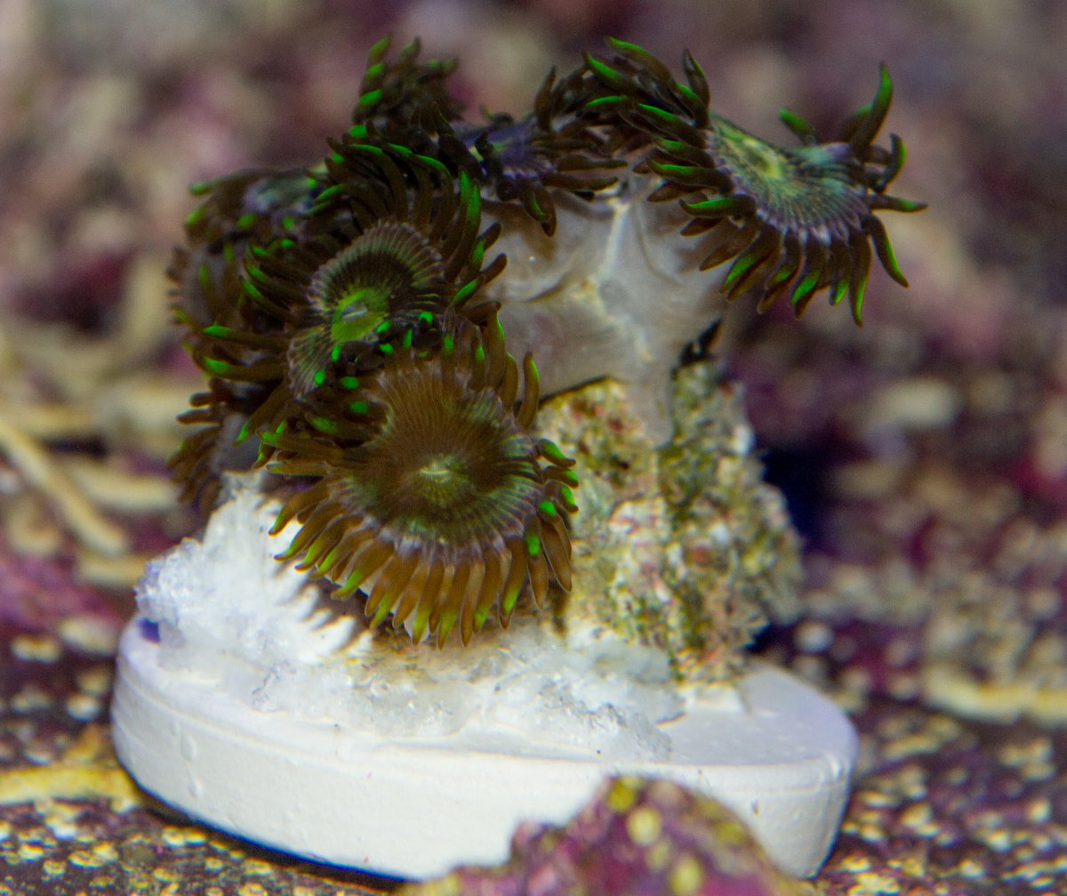 DSC_0015.jpg