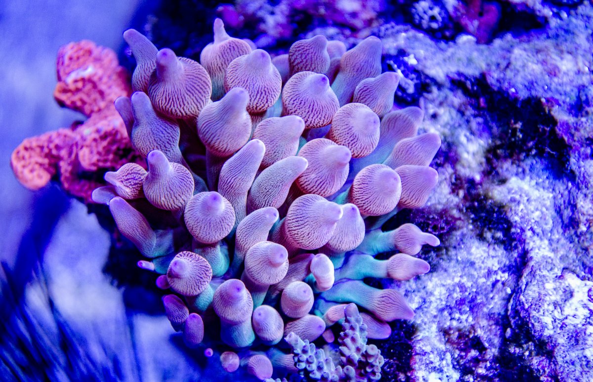 DSC_0020.jpg