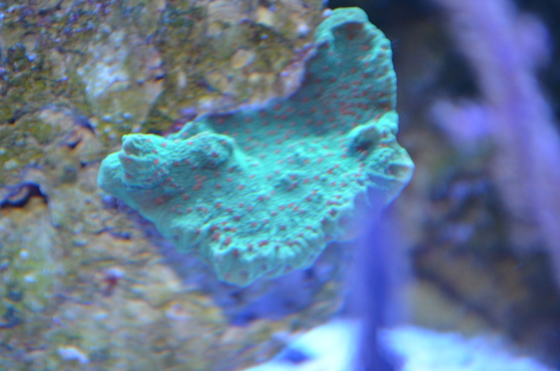 DSC_0022.JPG