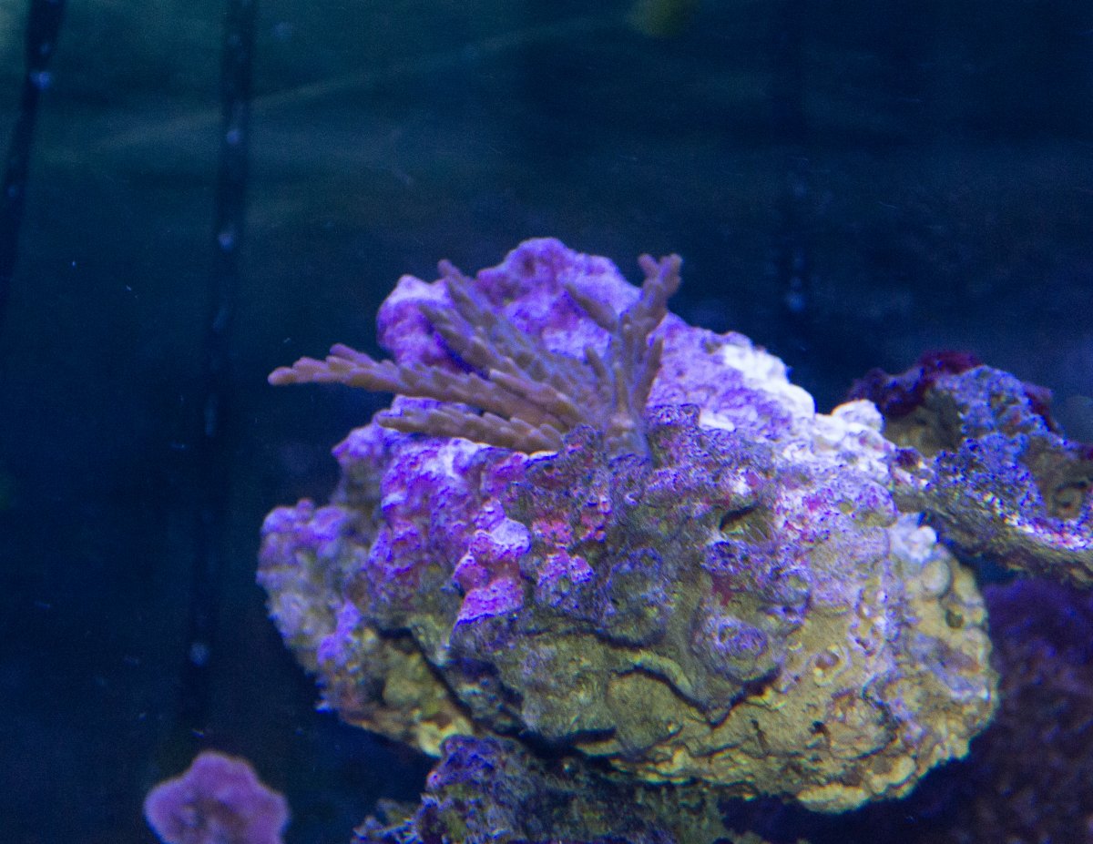 DSC_0028.jpg