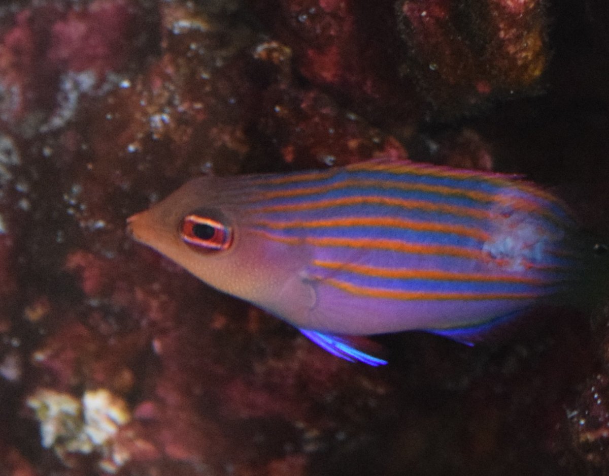 DSC_0038.JPG