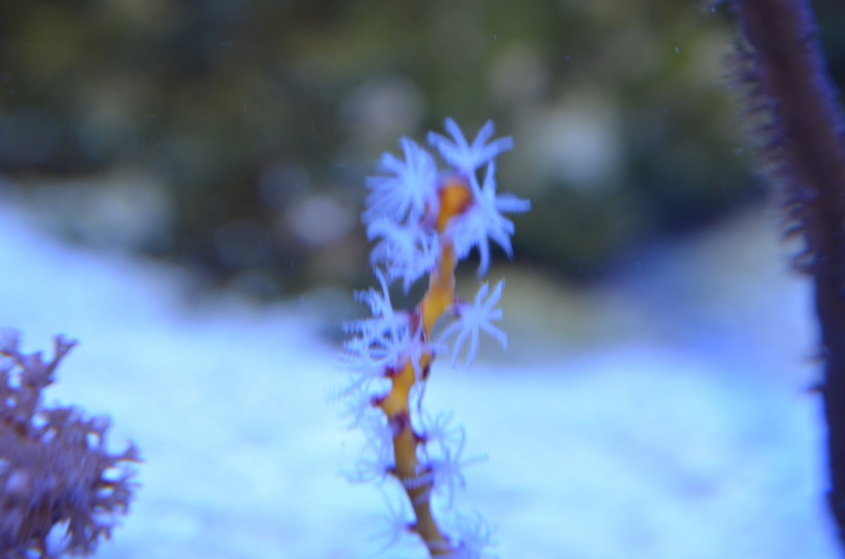 DSC_0045.JPG
