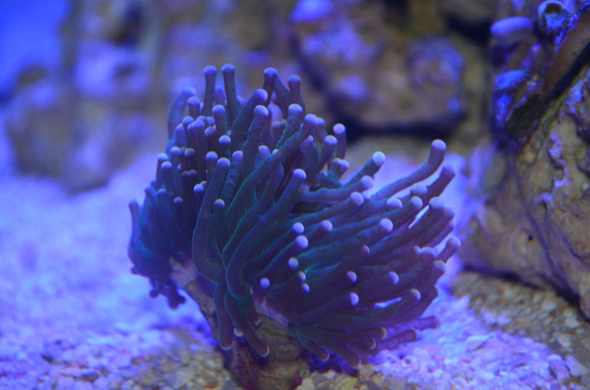 DSC_0049.JPG