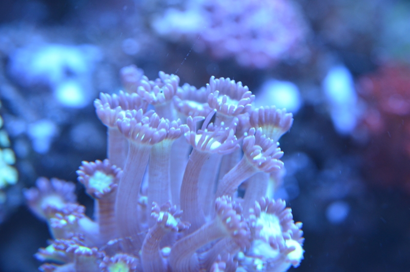 DSC_0054.JPG