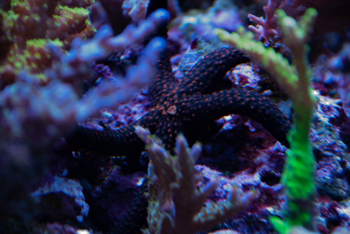 DSC_0055.jpg