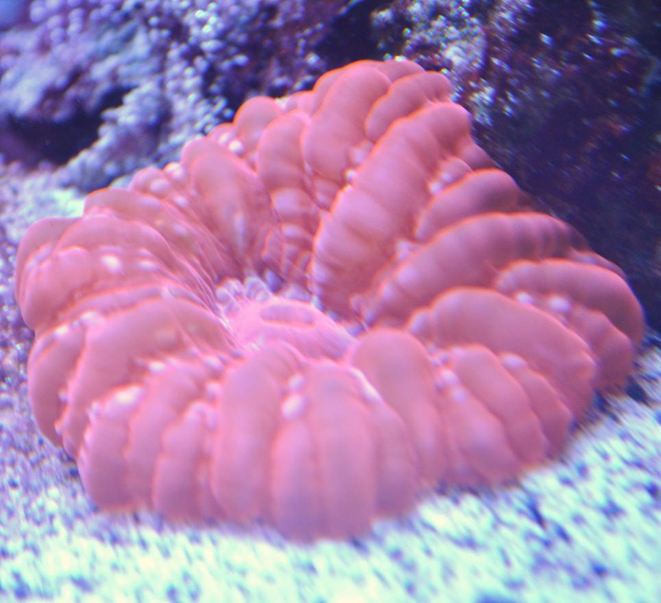 DSC_0060.jpg