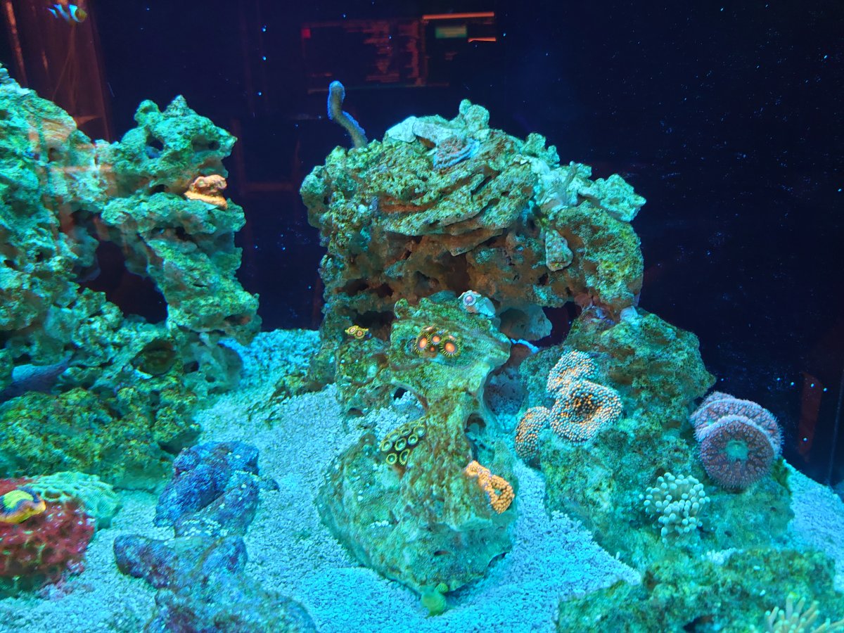 DSC_0104.JPG
