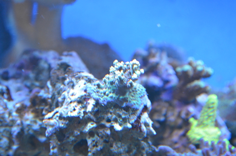 DSC_0112.JPG