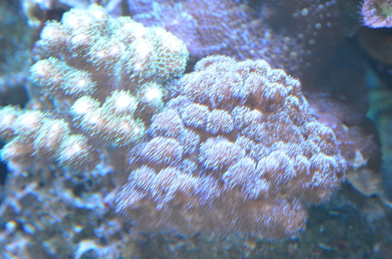 DSC_0113.JPG