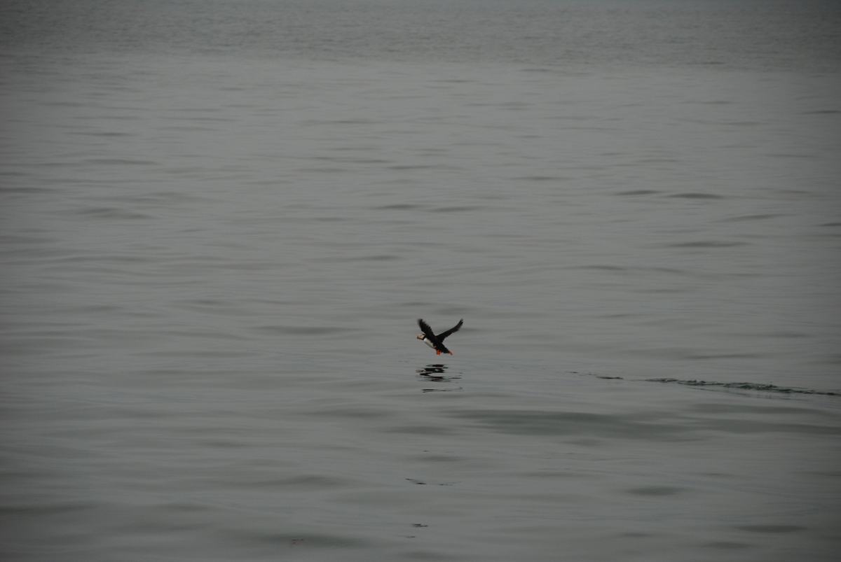 DSC_0113.jpg