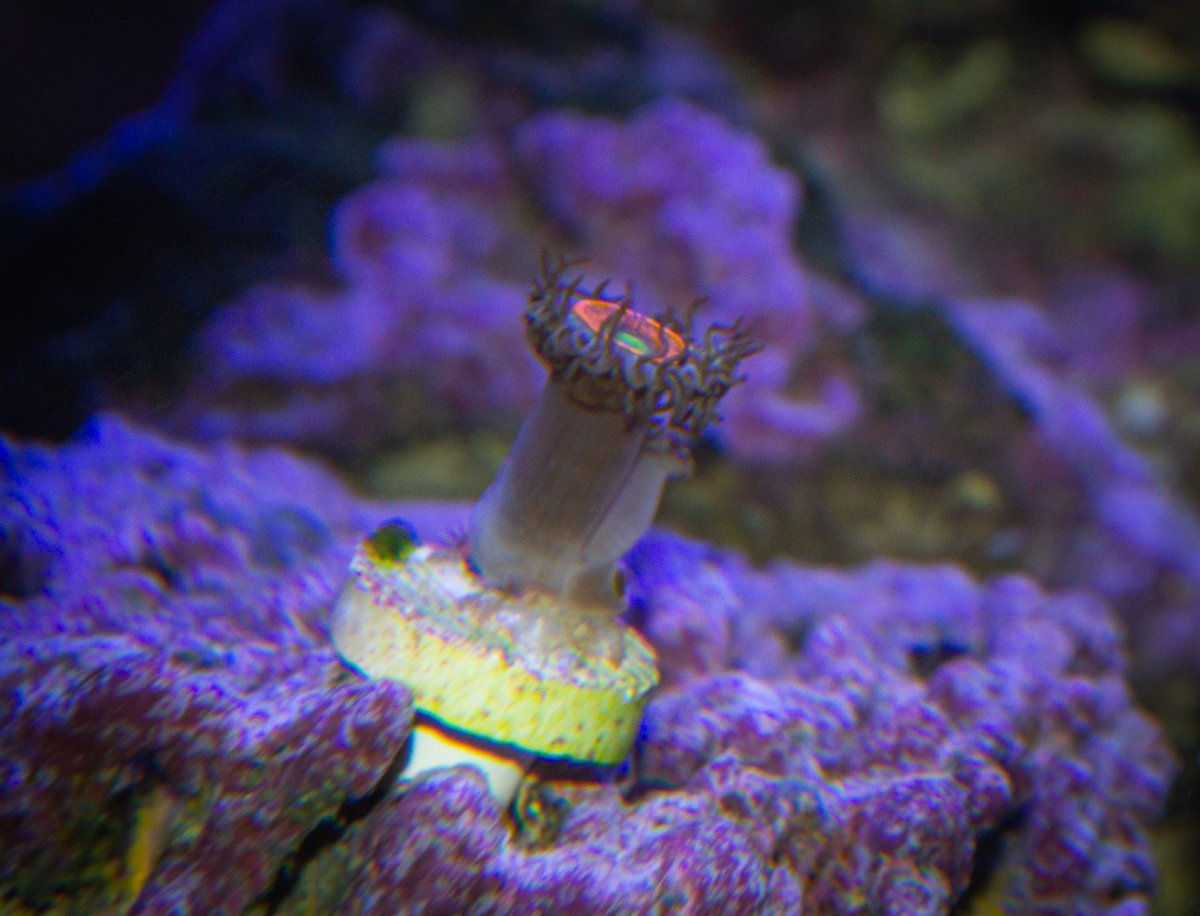 DSC_0119.jpg