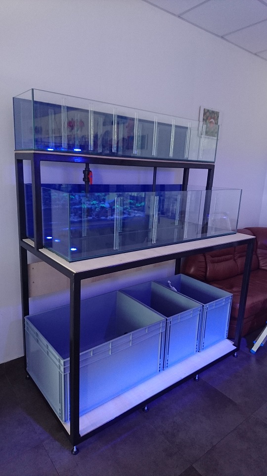 Build Thread Commercial Aquarium Rack Build REEF2REEF Saltwater and
