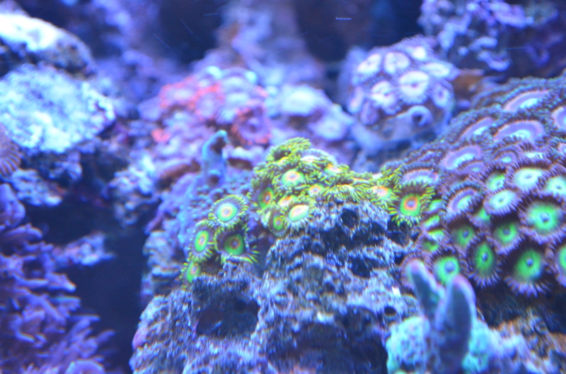 DSC_0122.JPG