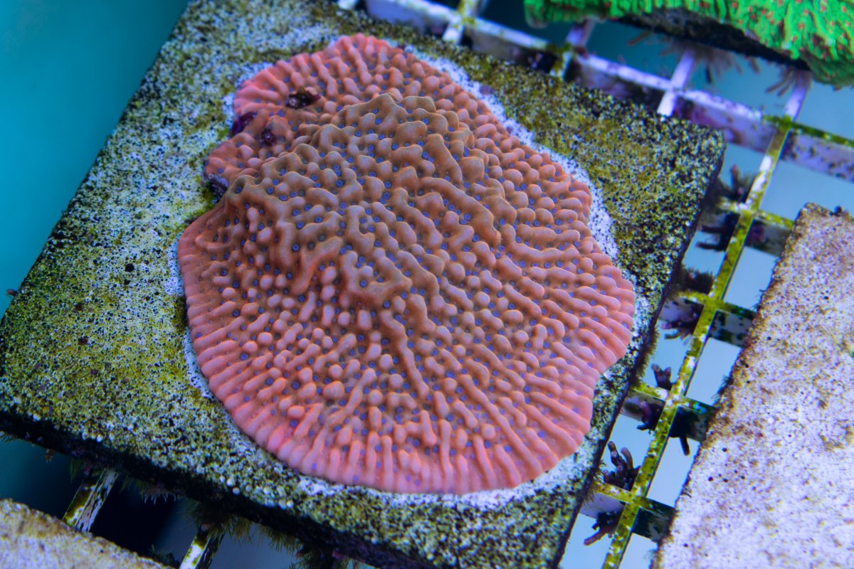 DSC_0124.jpg