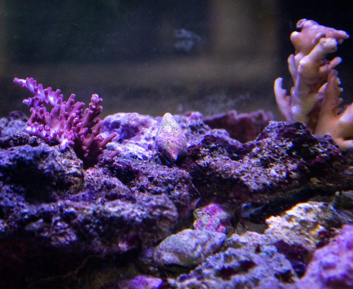 DSC_0137.jpg