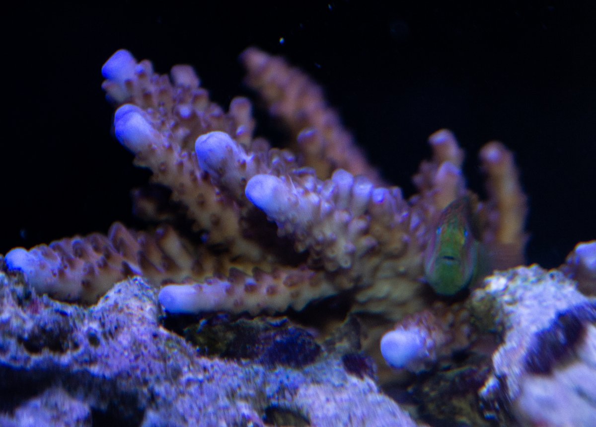 DSC_0139.jpg