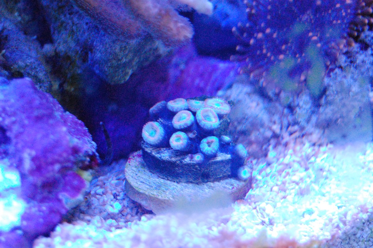 DSC_0155.JPG