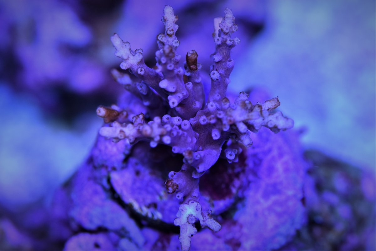 DSC_0158.JPG