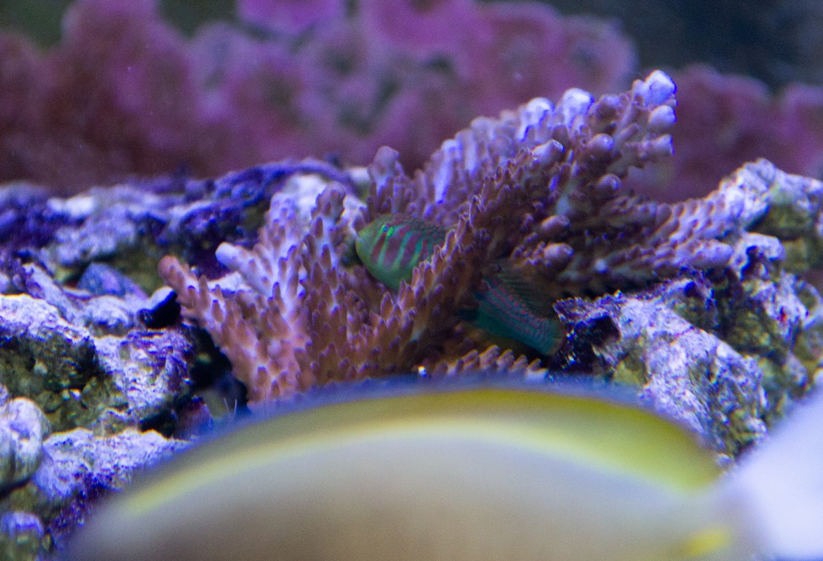 DSC_0159.jpg