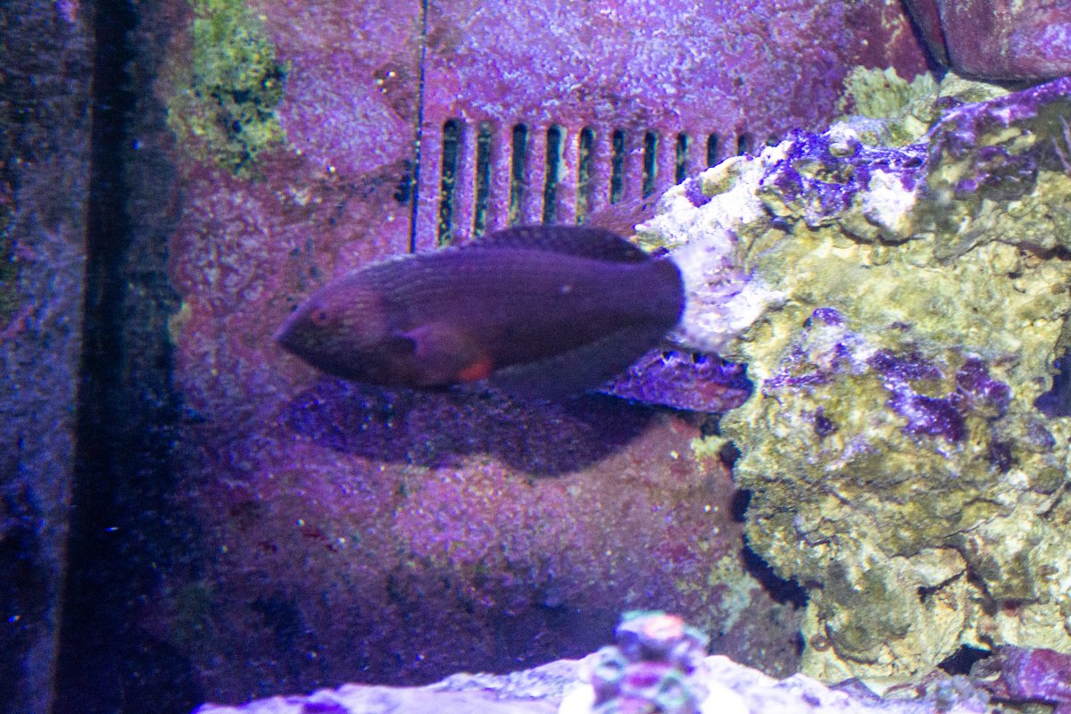 DSC_0161.jpg