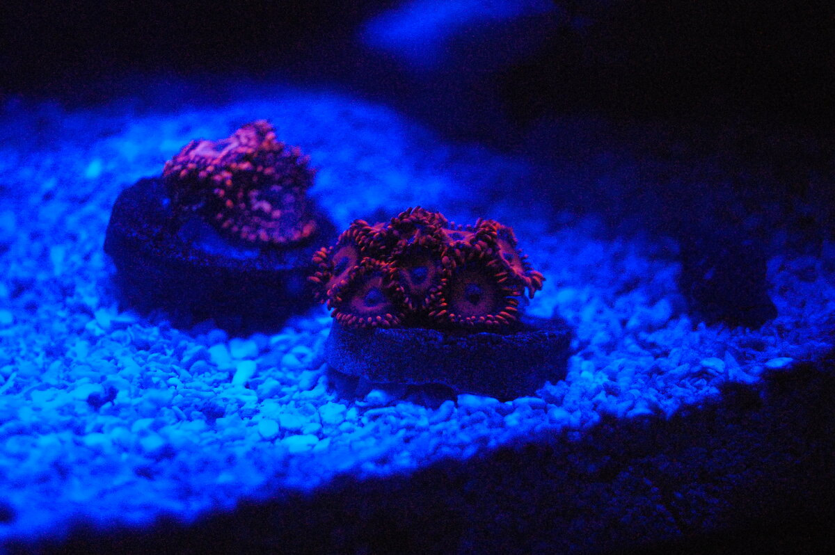 DSC_0161.JPG