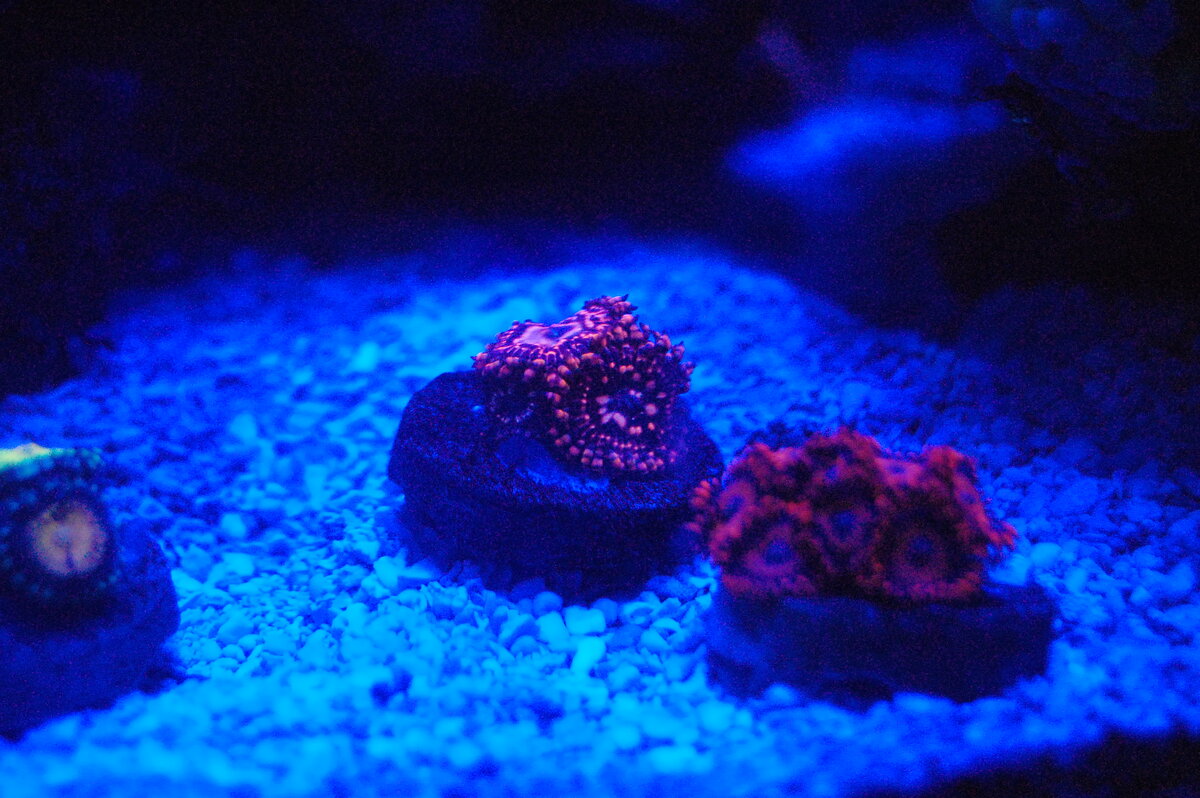 DSC_0162.JPG