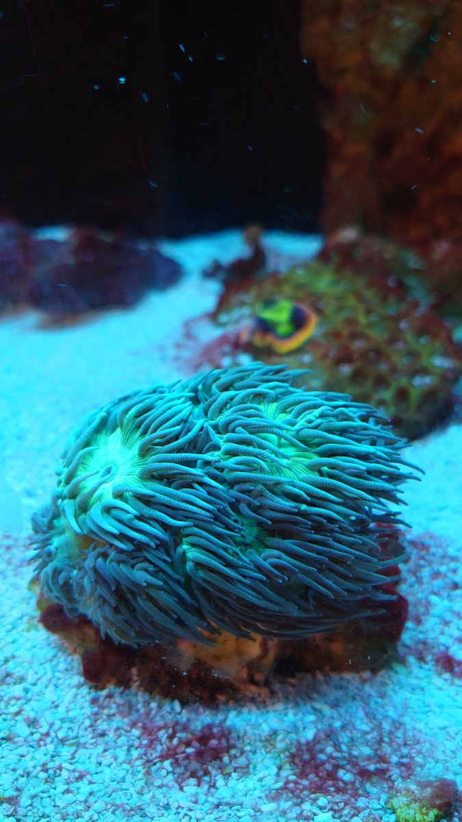 DSC_0343.JPG