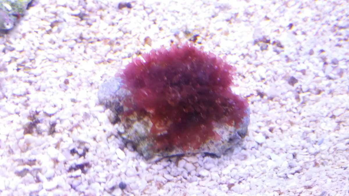 DSC_0403.JPG