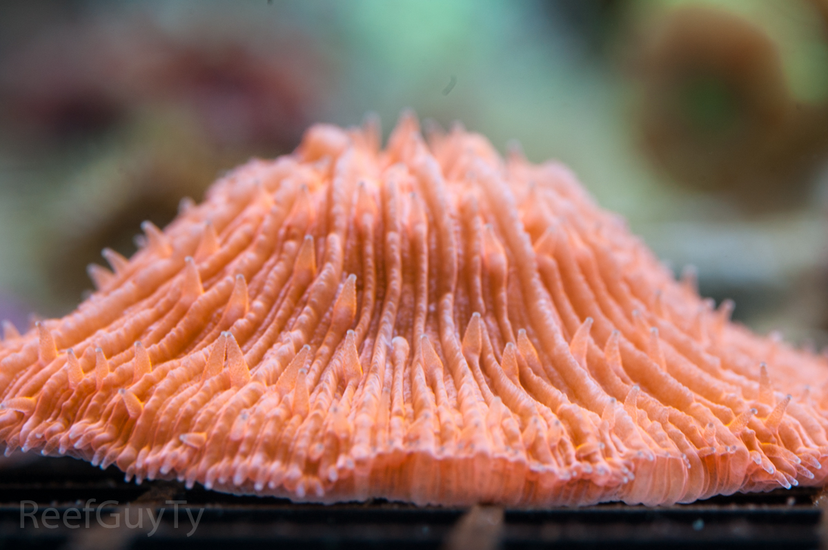 DSC_0441.jpg