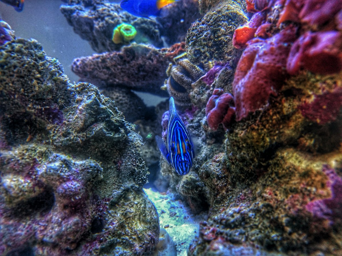DSC_0445_1-01.jpeg