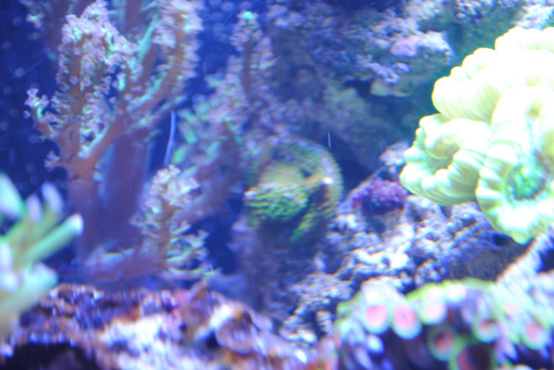 DSC_0475.jpg