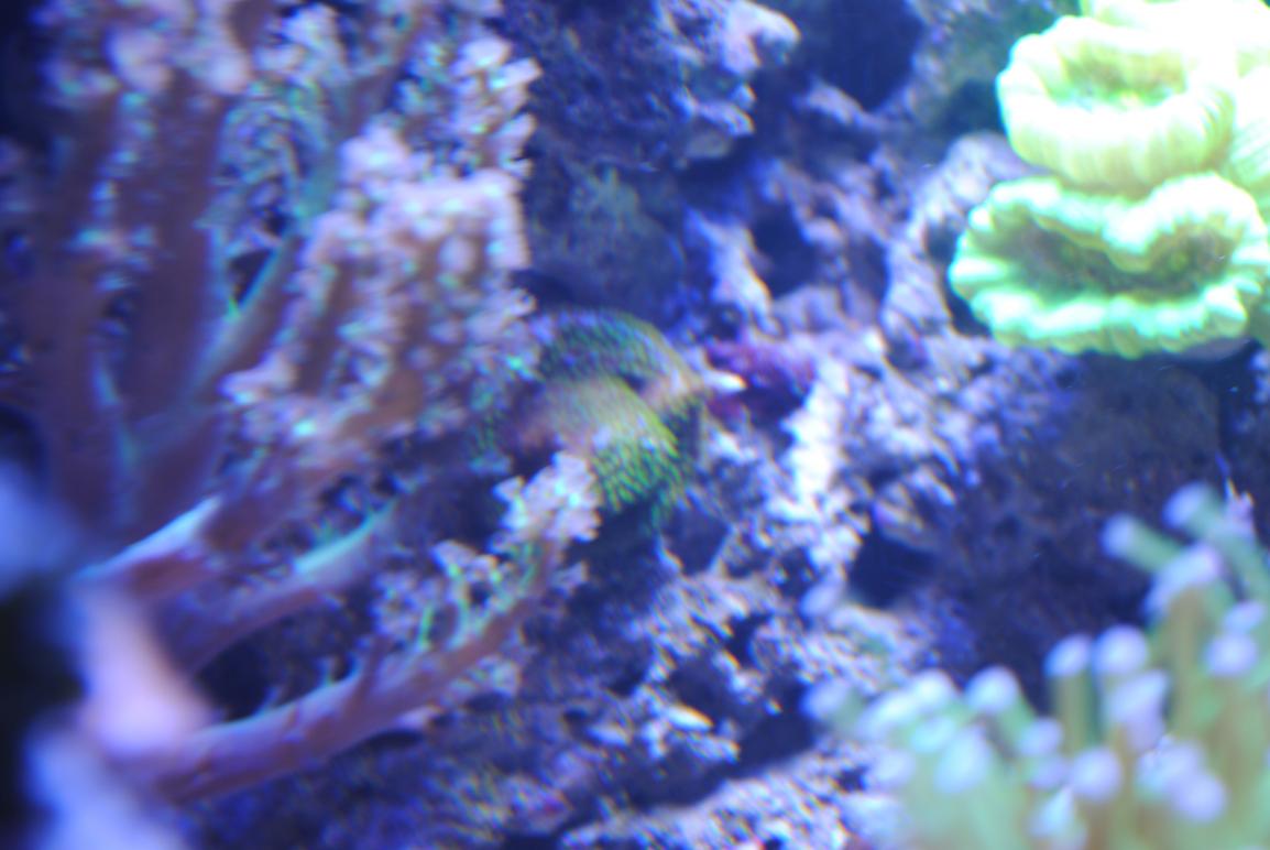 DSC_0477.jpg