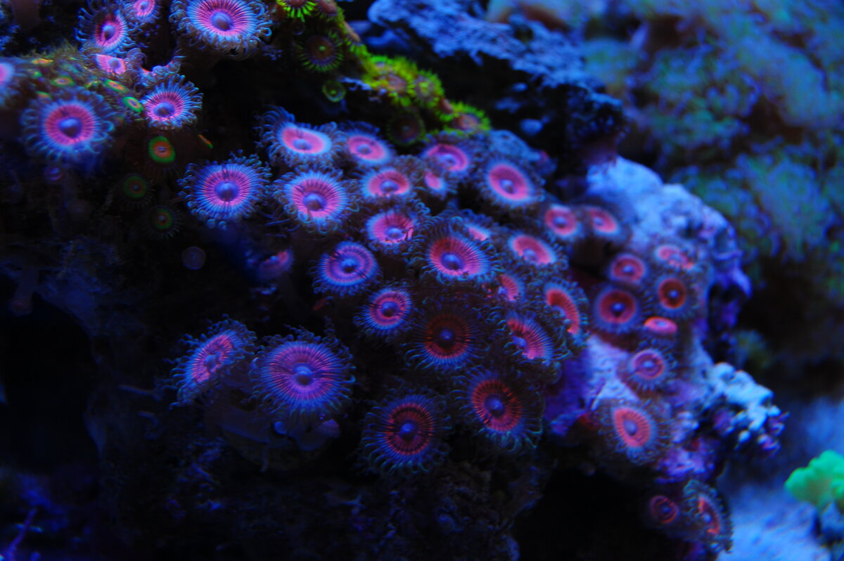 DSC_0510.JPG