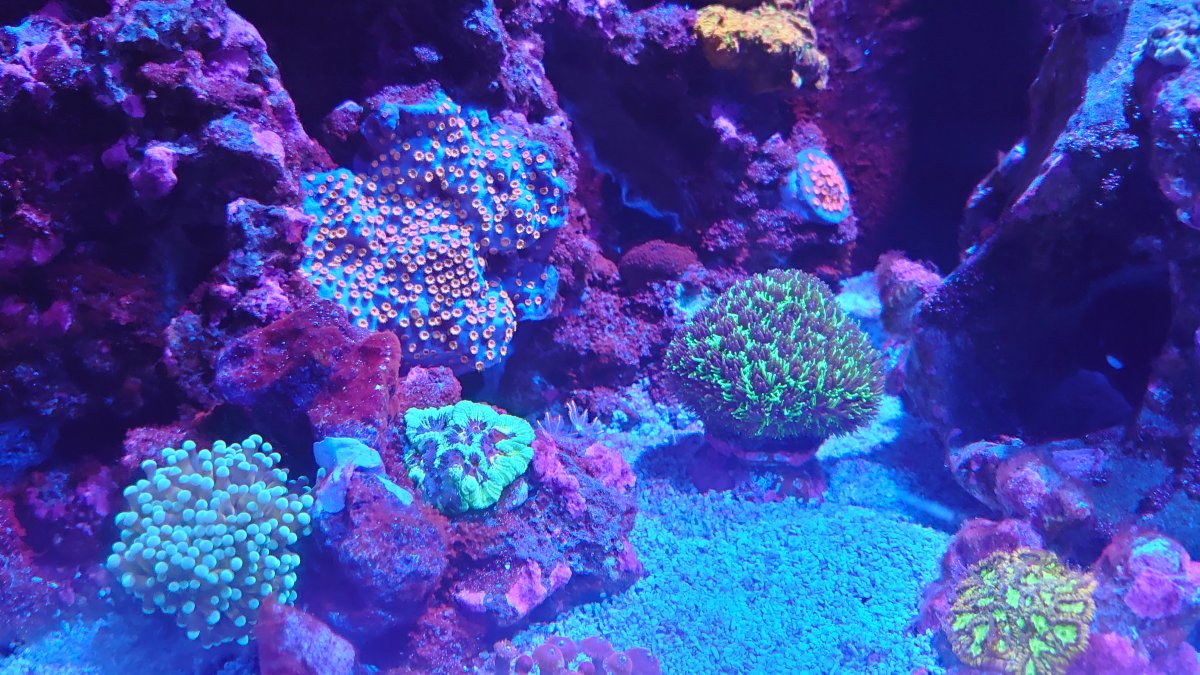 DSC_0560.JPG