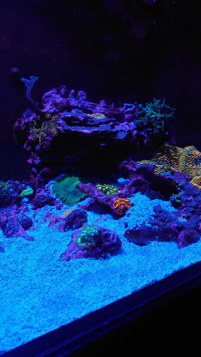 DSC_0568.JPG