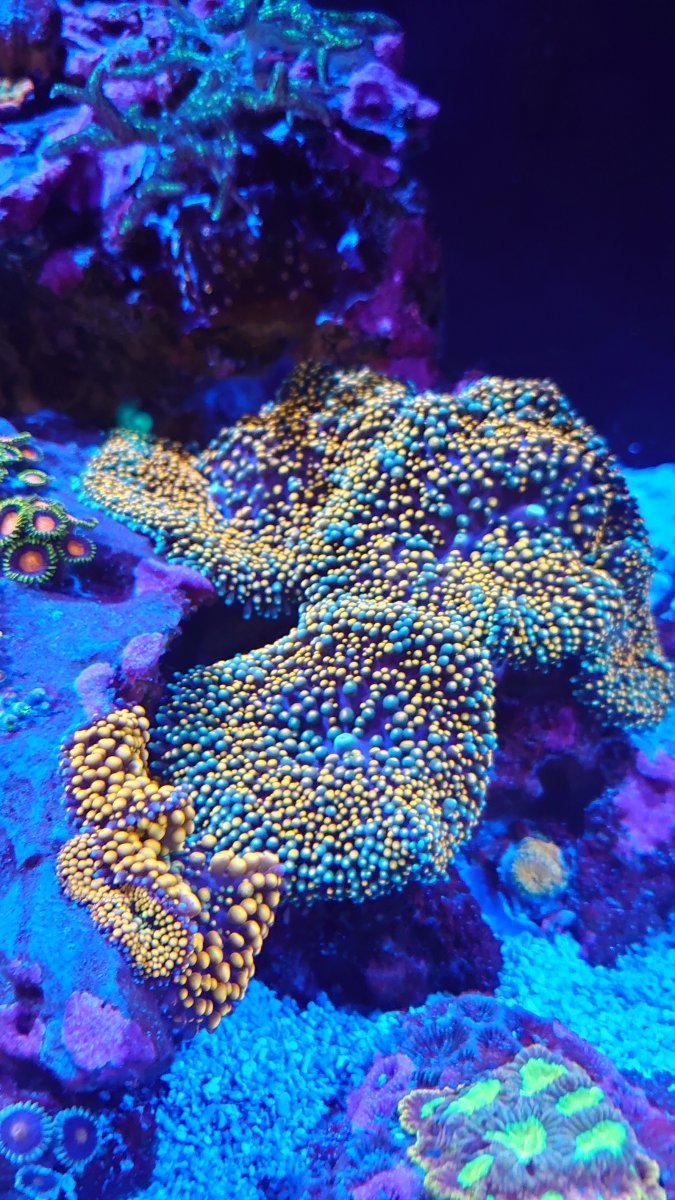 DSC_0613.JPG