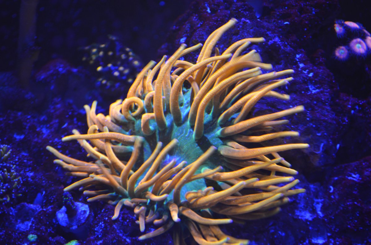 DSC_0627.JPG