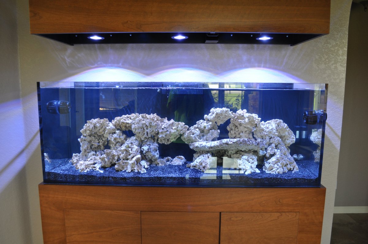Build Thread - Red Sea REEFER 450 *White Tiger* | Page 4 | Reef2Reef