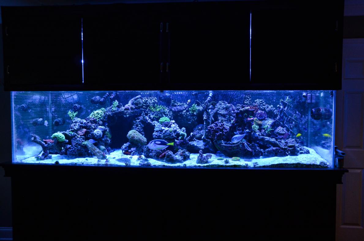 DSC_0718.jpg