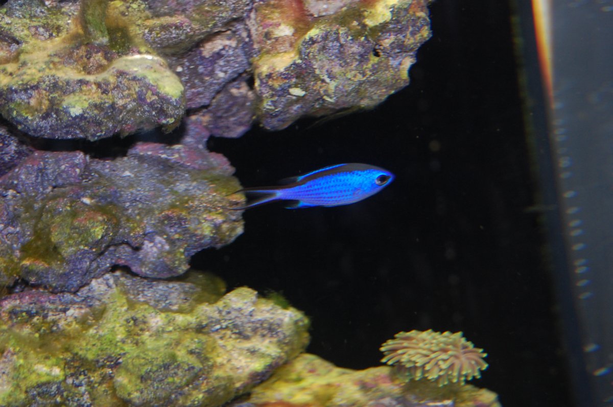 DSC_0759.JPG