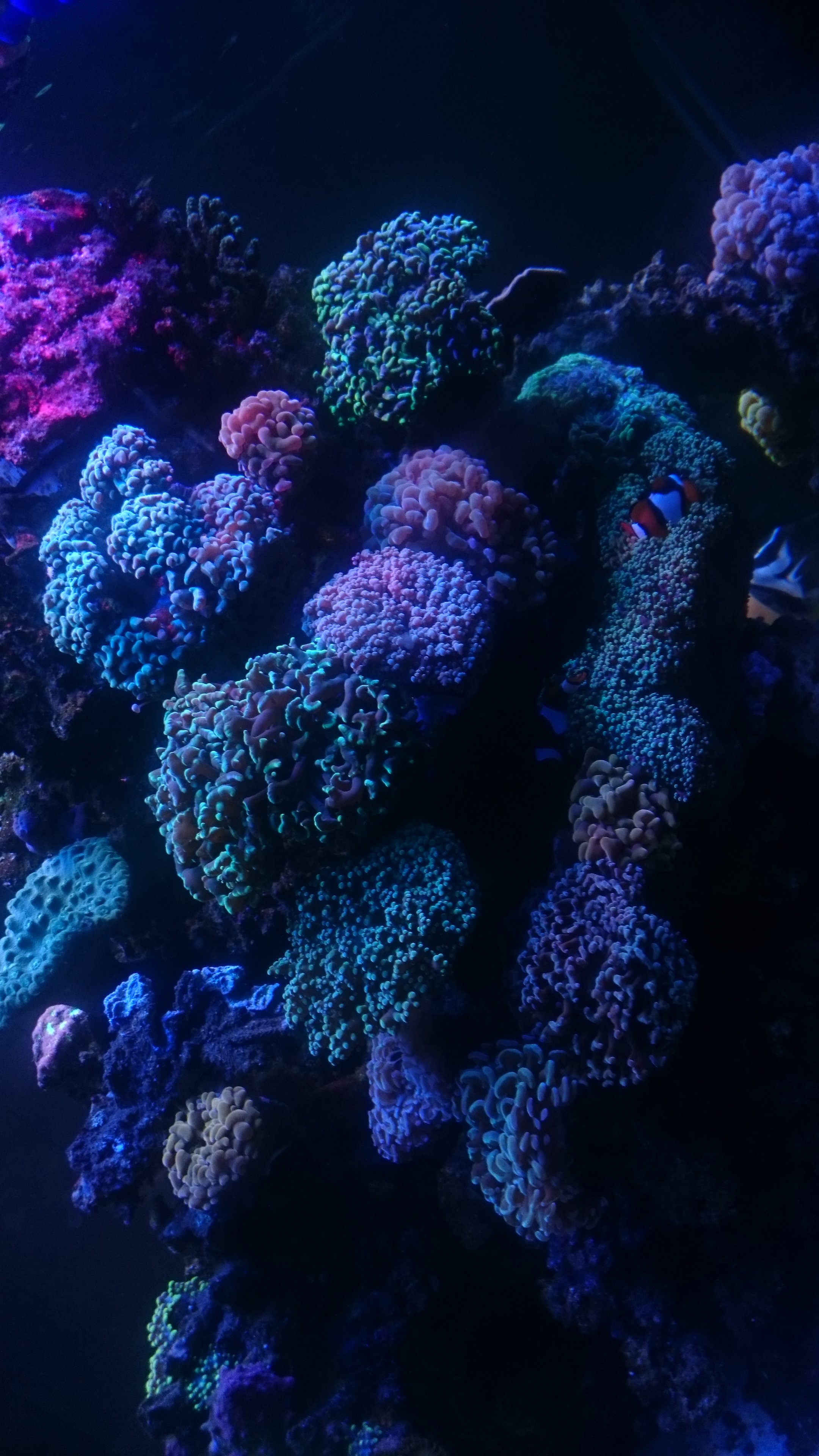 DSC_0806.JPG