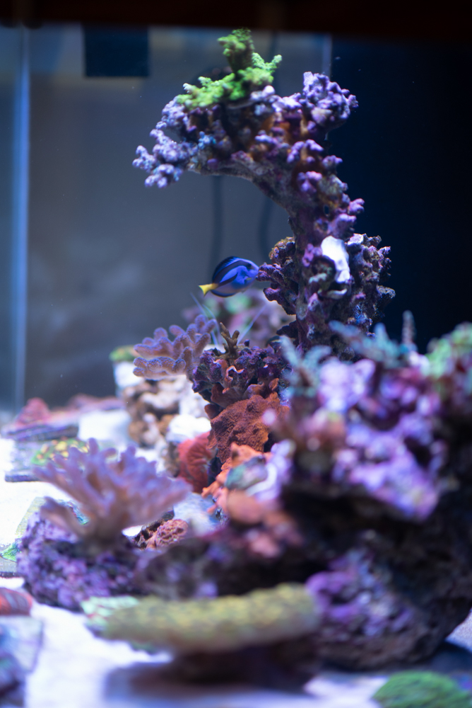 DSC_0820.jpg